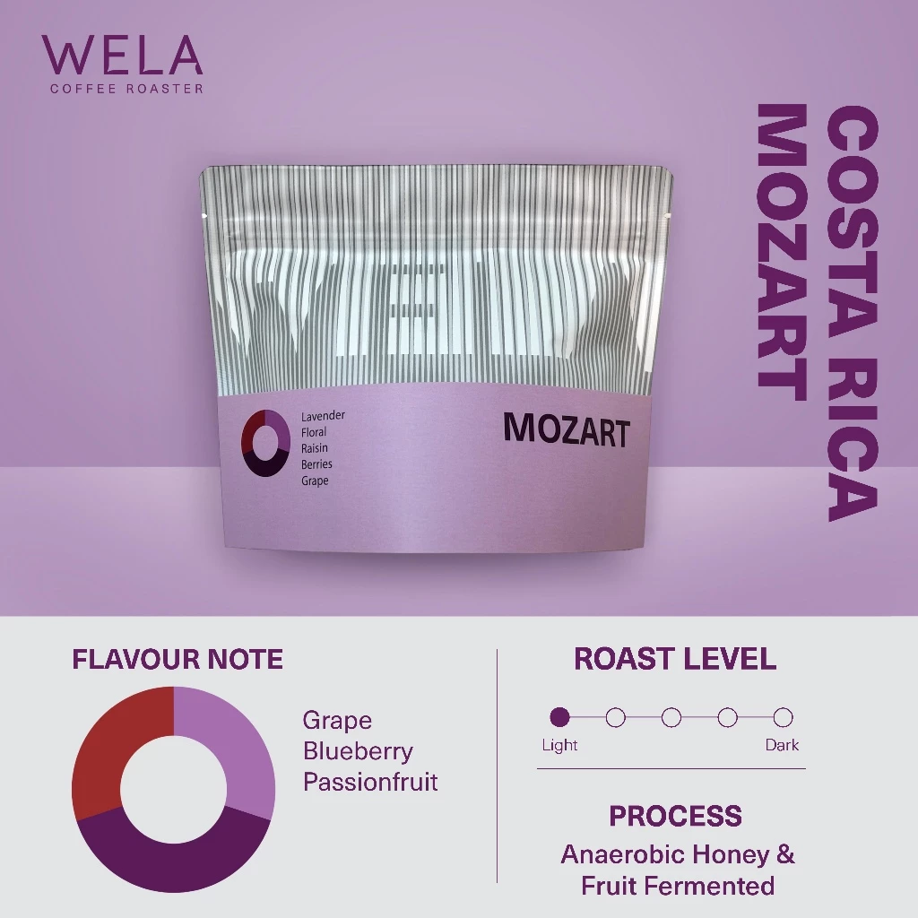 WELA Coffee Roaster - เมล็ดกาแฟคั่ว Costa Rica Mozart, Raisin Honey Process, Light Roast