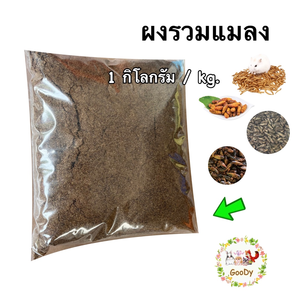ผงรวมแมลง อบแห้ง Mixed dried bugs powder