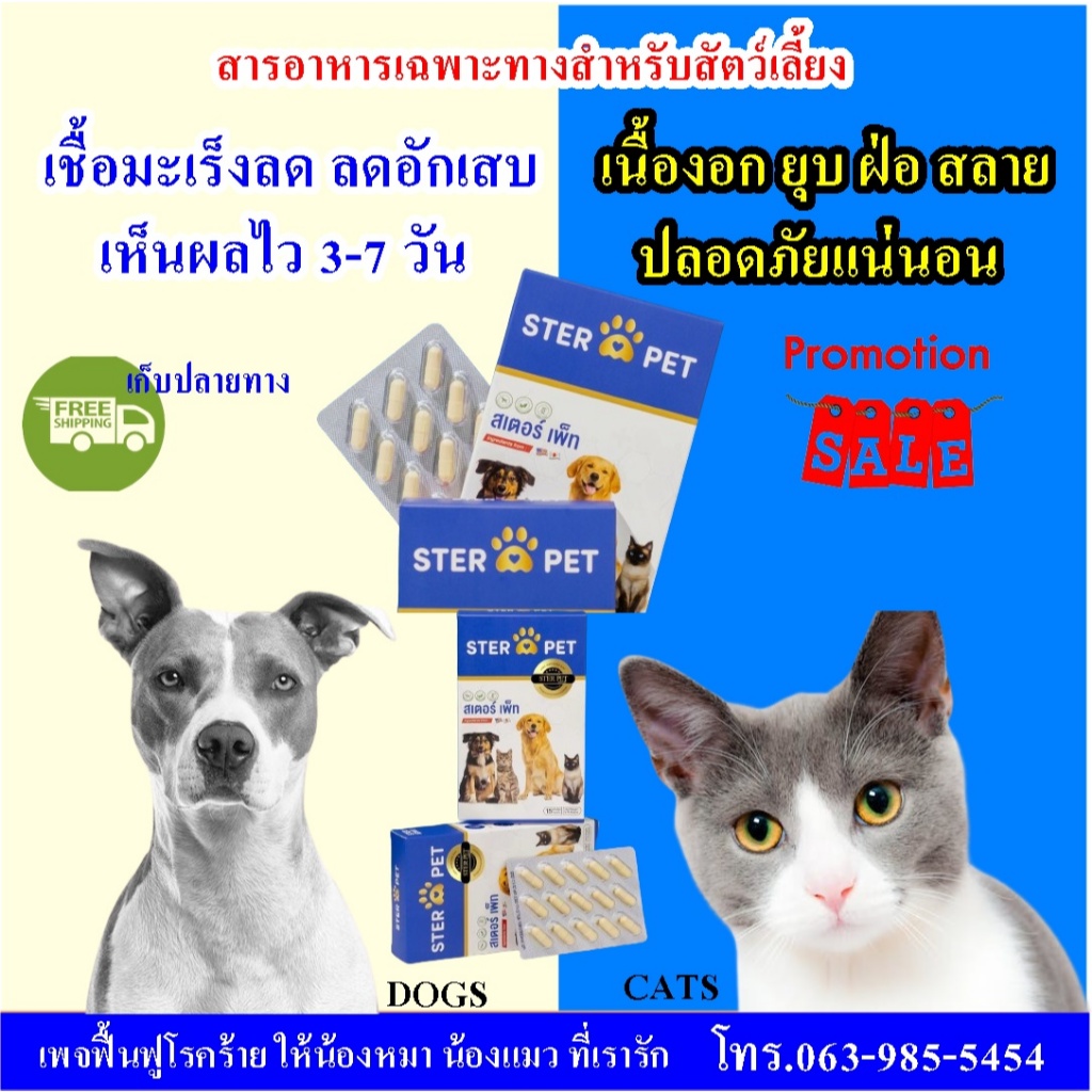 STER PET (สเตอร์ เพ็ท) 🐶😻อาหารเสริมยับยั้งมะเร็ง เสริมภูมิต้านมะเร็ง สลายก้อน ดูแลหมาแมวป่วยครบวงจร✅