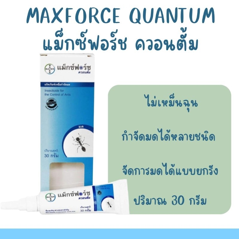 Maxforce quantum แม็กซ์ฟอร์ซ ควอนตั้ม ผลิตภัณฑ์กำจัดมด ในรูปแบบเจล Bayer