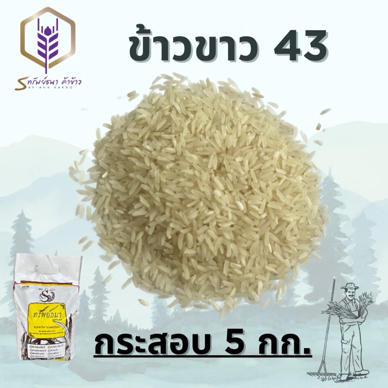 ข้าวขาวกข43แพคกระสอบ5กิโลกรัม ตราทรัยพ์ธนา