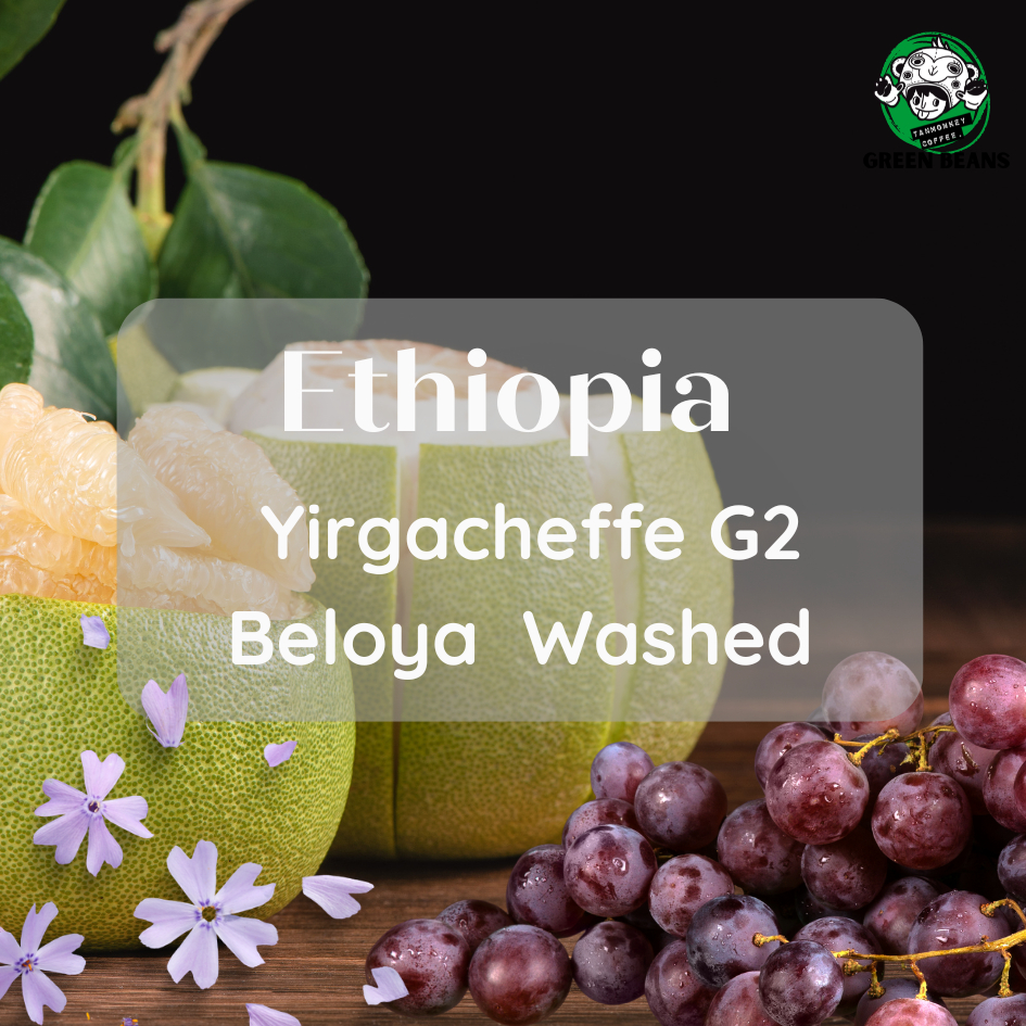 สารเมล็ดกาแฟCrop 2025  Ethiopia Yirgacheffe G2 Washed 1000g