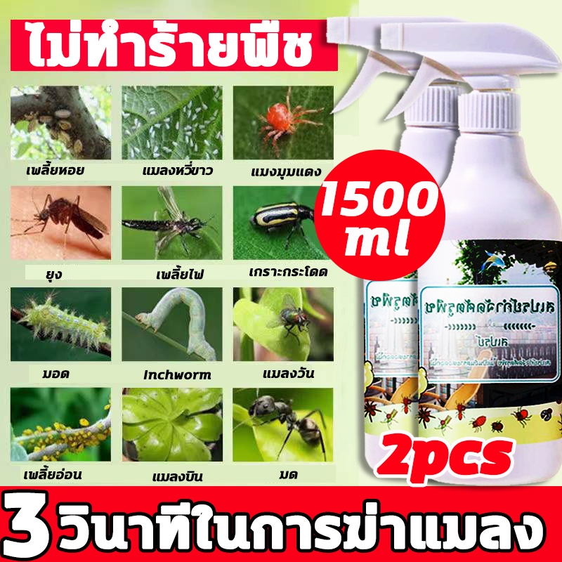 กำจัดเพลี้ยหอย ยาฆ่าแมลง ยากำจัดแมลงพืช ยากำจัดแมลง ยาฆ่าแมลงกินใบ ยาฆ่าเพลี้ย แมลงหวี่ขาว ไทอะมีทอกแซม อะซีทามิพริด