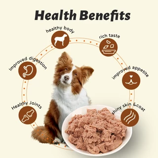 อาหารเปียกสุนัข สำหรับลูกสุนัข สุนัขโต สูตร Complete&Balanced ไมเ่ติมเกลือ ปราศจากธัญพืช อาหารสุนัขแบบเปียก ขนาด 120g