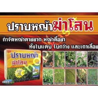 ฆ่าโสน 🌷🌹1 กล่องฉีดได้4-5 ไร่คะ #ปราบหญ้าในนาข้าว ตายดีของแท้ #ยกลังทักแชทนะคะ💯🙏🙏🙏🚚🚛