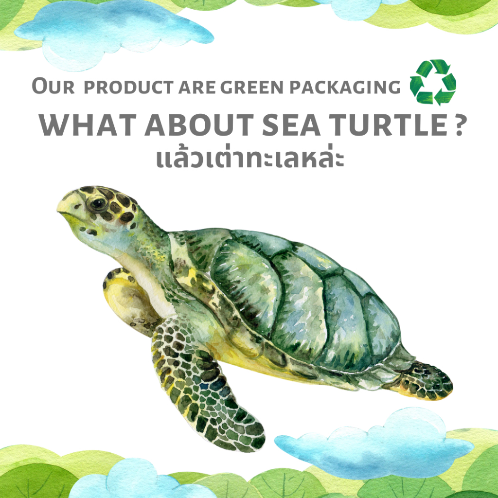 กระดาษรังผึ้งกันกระแทก Honeycomb Paper ห่อของ กันกระแทก ดีไซน์เก๋ สไตล์มินิมอล สีดำ ไฮโซ (หลายขนาด) - รูปที่ 6