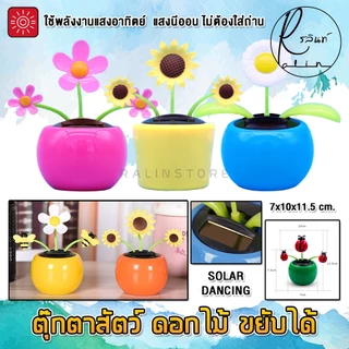ดอกไม้เต้นรำ ตุ๊กตาสัตว์ ดอกไม้ ขยับได้ บูชาตั้งศาล แก้บน ตกแต่ง ใช้พลังงานแสงอาทิตย์ โซล่าเซลส์ (ไม่ต้องใส่ถ่าน)