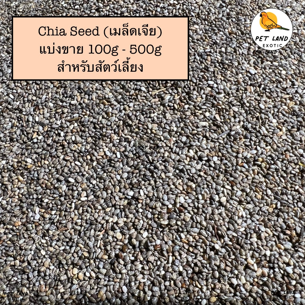 เมล็ดเจีย เมล็ดเชีย (Chia seeds) สำหรับนกแก้ว และ สัตว์เลี้ยง แบบแบ่งขาย 100-500g