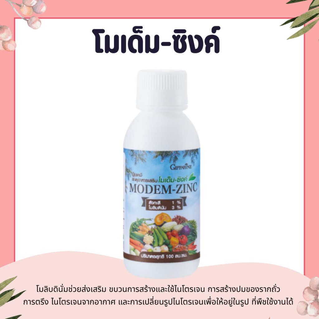 ปุ๋ย ปุ๋ยกิฟฟารีน โมเด็ม-ซิงค์ เป็นธาตุอาหารจำเป็นสำหรับพืชทุกชนิดที่ขาดไม่ได้ ถ้าขาด พืชจะไม่สามารถเจริญเติบโตต่อไปได้