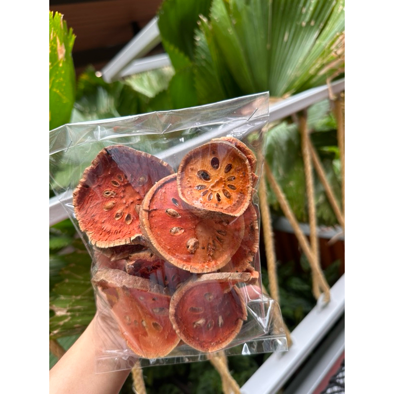 มะตูมแห้งใช้ต้มทำน้ำมะตูมกลิ่นหอมอ่อนอ่อนขนาด 120กรัม พร้อมส่ง ราคา ถูกที่สุด ดีลบีเคเค แกลเลอรีภาพที่ 3