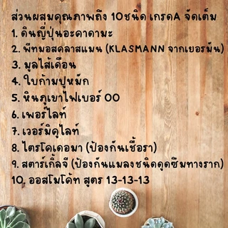 ดินปลูกแคคตัส Cactus Soil 500g. ไม้ประดับ กุหลาบ ไม้อวบน้ำ ต้นกระบองเพชร สูตรพรีเมี่ยม ส่วนผสมจัดเต็ม