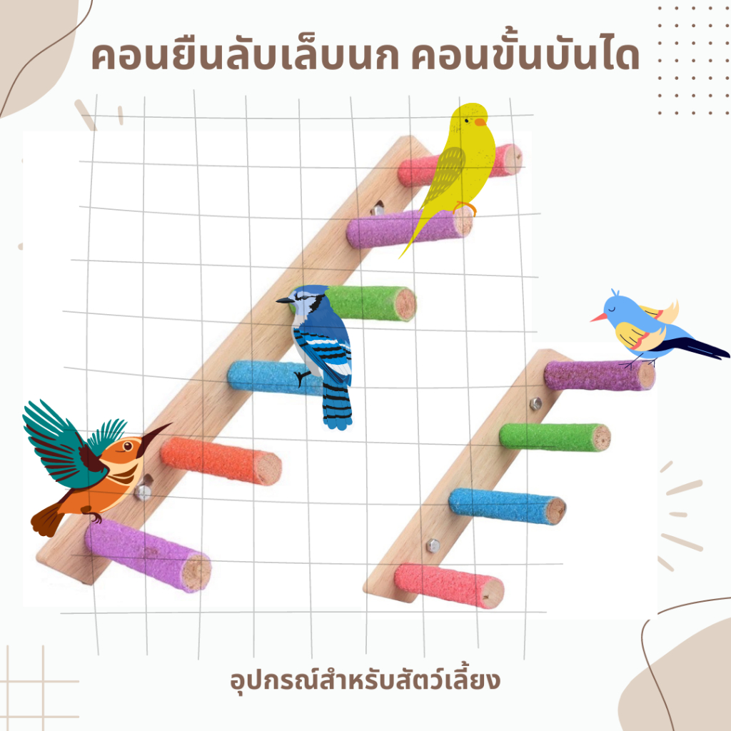 บันไดนก บันไดคอนลับเล็บนก เเบบติดกรง