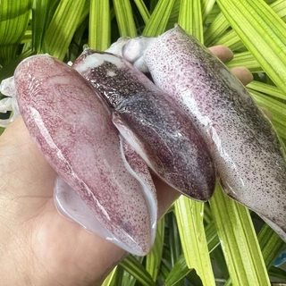หมึกกล้วยไข่ ไซส์20-30ตัว/โล แบ่งขายกล่องละ500 กรัมและ1กิโลกรัมมีประมาณ10-15ตัวต่อกล่อง