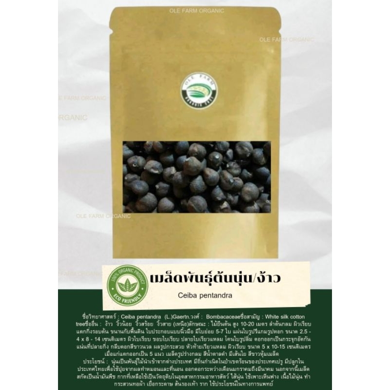 เมล็ดนุ่น/ง้าว60เมล็ด 50 บาท