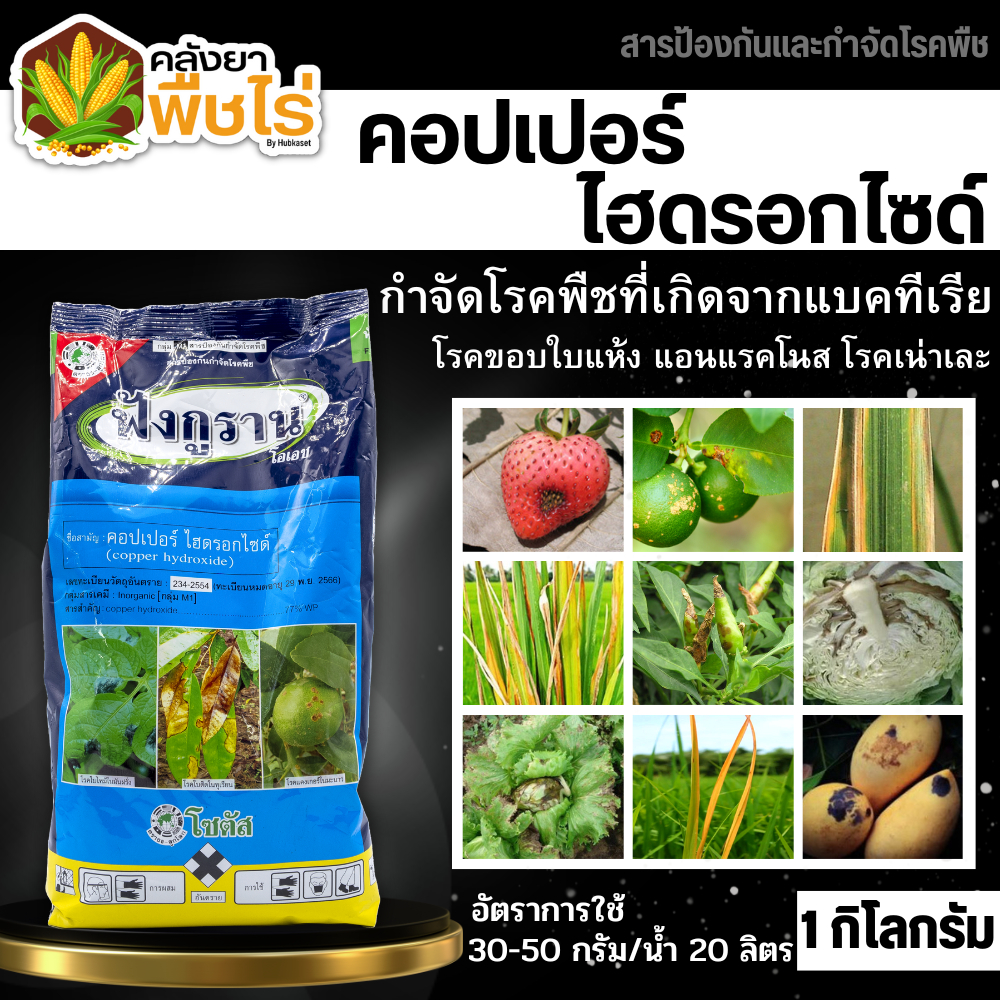 ฟังกูราน (คอปเปอร์-ไฮดรอกไซด์77%WP) 1กิโลกรัม ป้องกันกำจัดโรคพืชที่เกิดจากเชื้อแบคทีเรีย และเชื้อรา