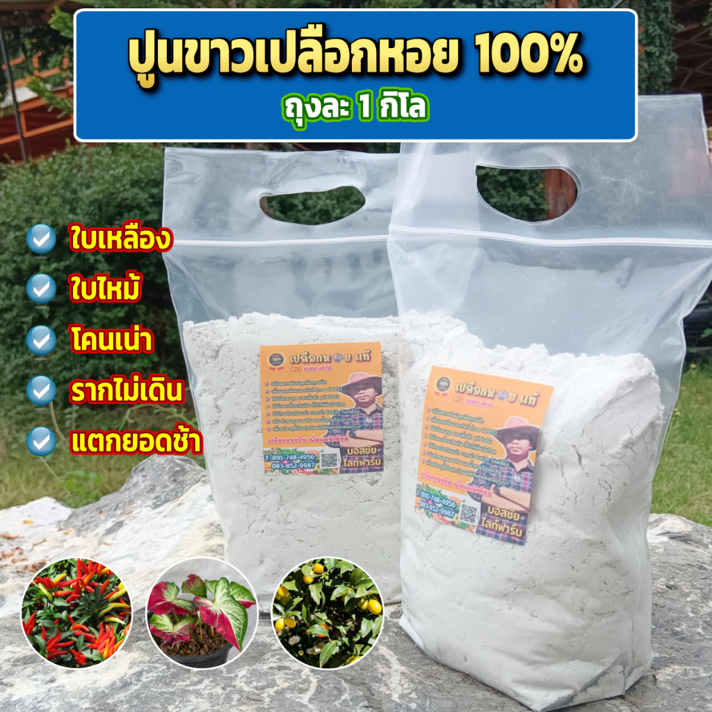 ปูนขาวเปลือกหอย แท้ 100% ถุงละ 1 กิโล เพิ่มค่า pH ในน้ำและดิน ใช้ในการฆ่าเชื้อรา ที่ทำให้พืชเป็นโรค