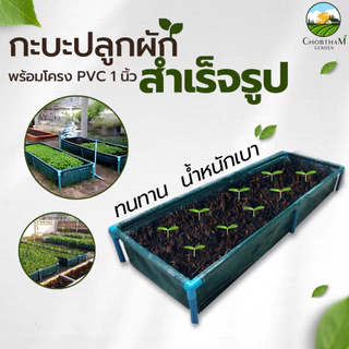 กะบะปลูกผัก แปลงปลูกผัก สำเร็จรูป พร้อมโครง PVC
