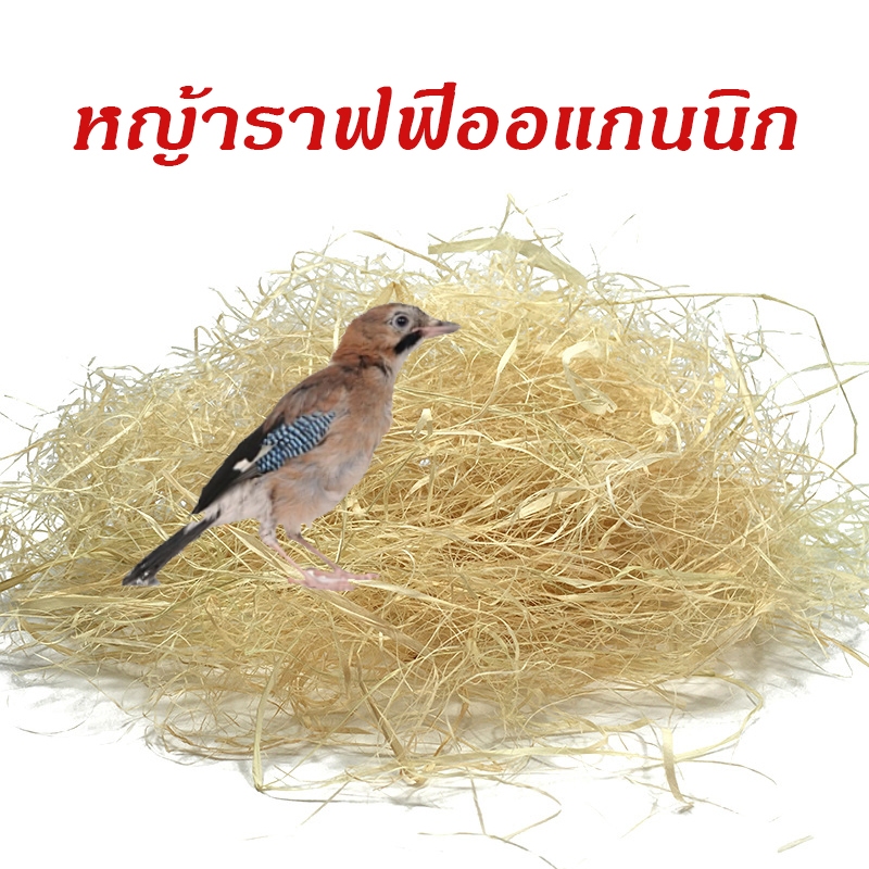หญ้าราฟฟี่ออแกนนิกที่นอนนก ญ้ารังนก หญ้ากระรอก   สำหรับรังบก บ้านนก กระรอก กระต่ายถุงละ 30 กรัม