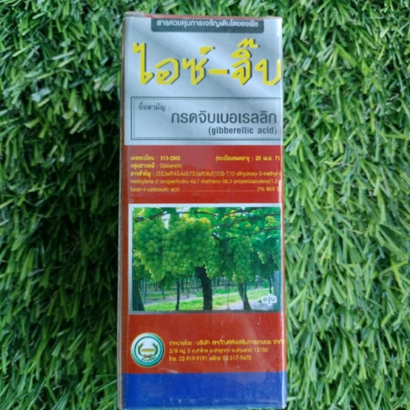 ไอซ์-จิ๊บ กรดจิบเบอเรลลิก ขนาด 100 ซีซี