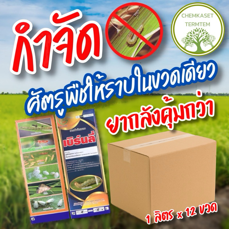 🍀เบิร์นลี่ สารกำจัดแมลง 2พลังบวก ❌คุม+ฆ่า❌ ขนาด 1ลิตรx12กล่อง🍀