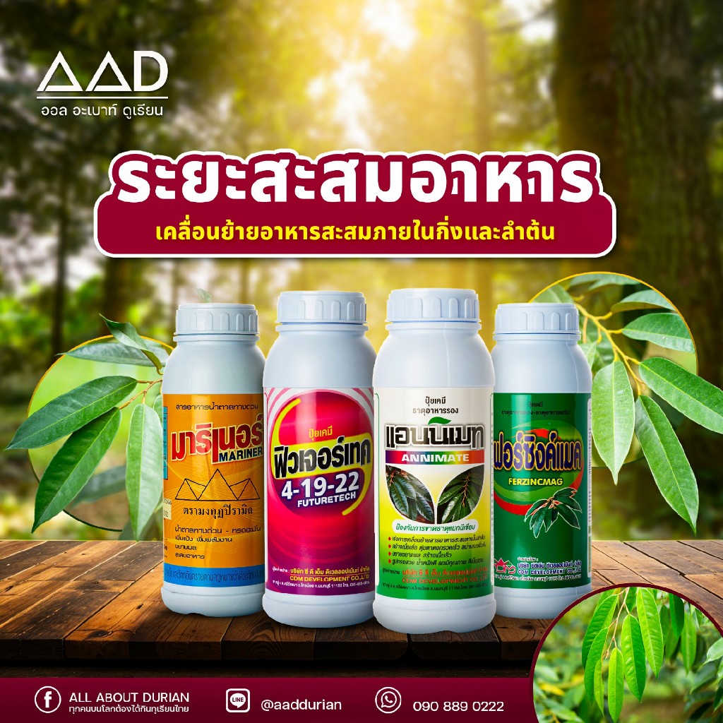 ชุดสะสมอาหาร อ.บรรยง มาริเนอร์ 4-19-22 แอนนิเมท เฟอร์ซิงค์แมค