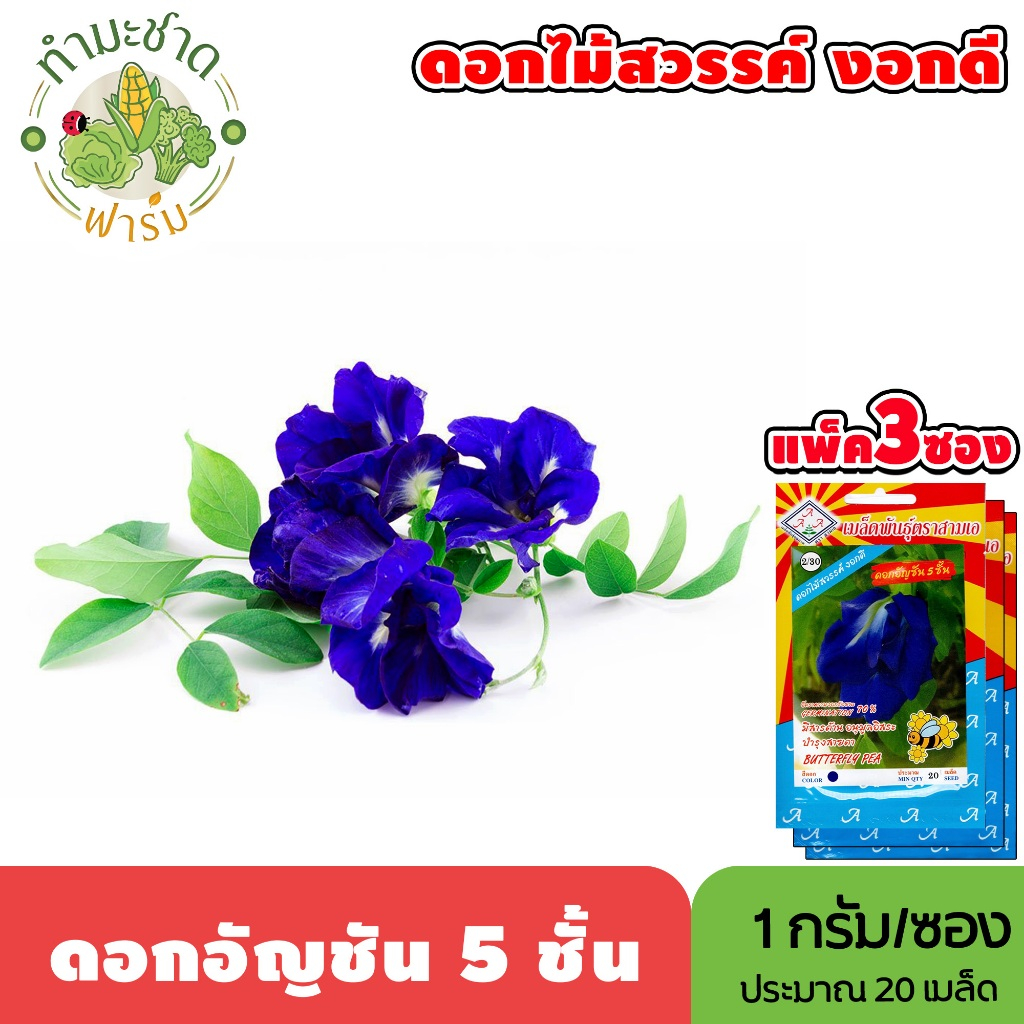 [แพ็ค 3 ซอง] 3A เมล็ดพันธุ์ พาร์สเลย์ ขนาดซองละ0.5กรัม ประมาณ220เมล็ด/ซอง PARSLEY ผักชีฝรั่ง เมล็ดพันธุ์พืช เมล็ดผัก