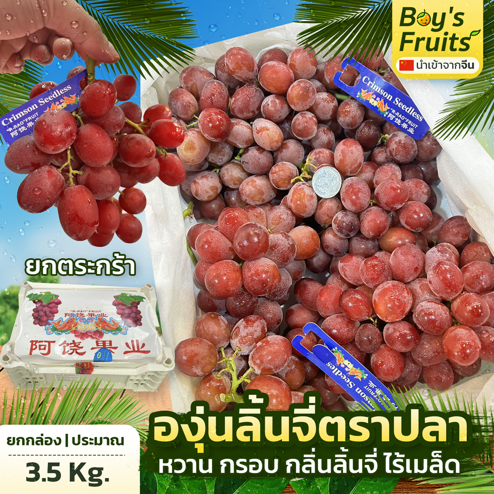 องุ่นแดงกลิ่นลิ้นจี่ ยกตระกร้า 3.5 กก
