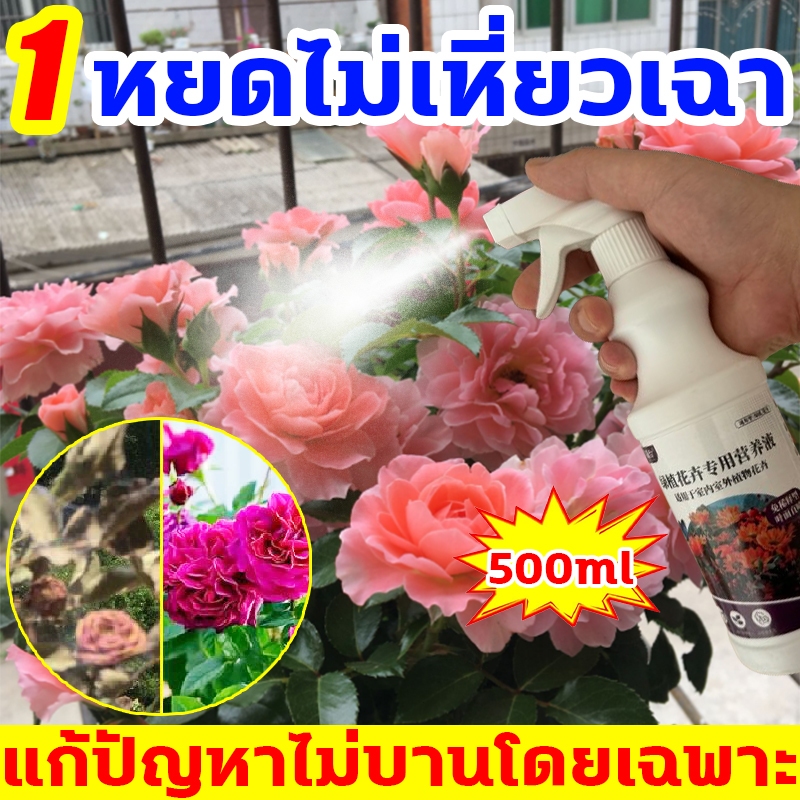 ดอกไม้กลับมามีชีวิตอีกครั้ง ปุ๋ยกุหลาบ พืชทุกชนิดสามารถใช้ได้ ปุ๋ยดอกไม้ ยืดระยะเวลาการออกดอก ปุ๋ยทําดอก ปุ๋ยเร่งดอก