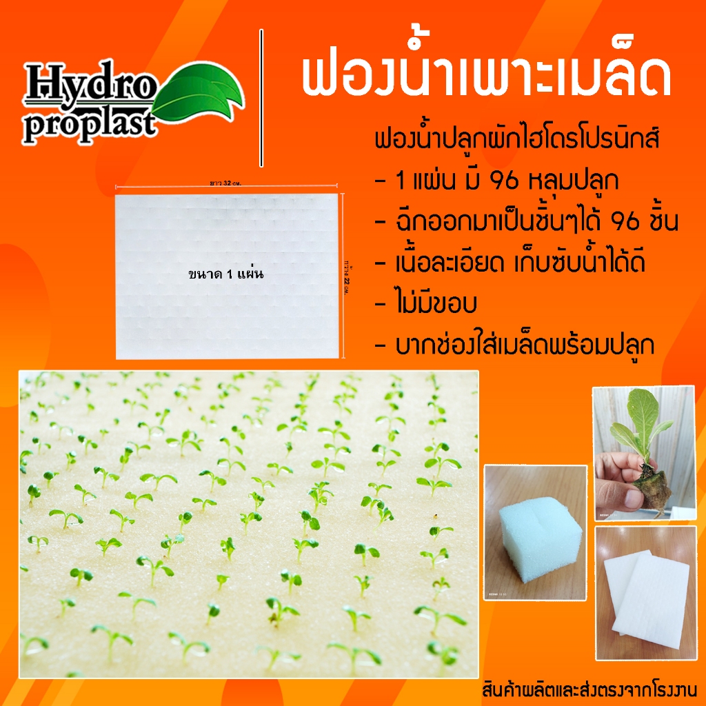 ฟองน้ำสำหรับเพาะเมล็ดผักไฮโดรโปนิกส์ เนื้อระเอียด 1 แผ่น