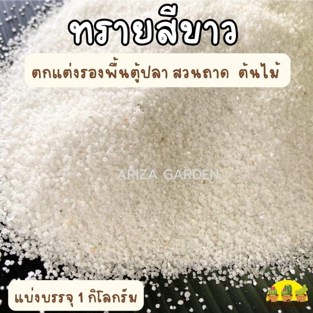 ทรายสีขาว ทรายรองตู้ปลา ทรายใส่ตู้ปลา แบ่งบรรจุ 1 กก.