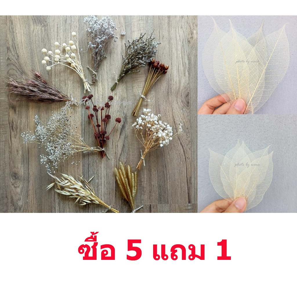 ดอกไม้แห้ง ดอกไม้จิ๋ว ช่อเล็ก ดอกไม้จริง ดอกไม้แห้งเล็กๆ เก็บได้นาน ช่อจิ๋วสูงประมาณ​ 17 cm.