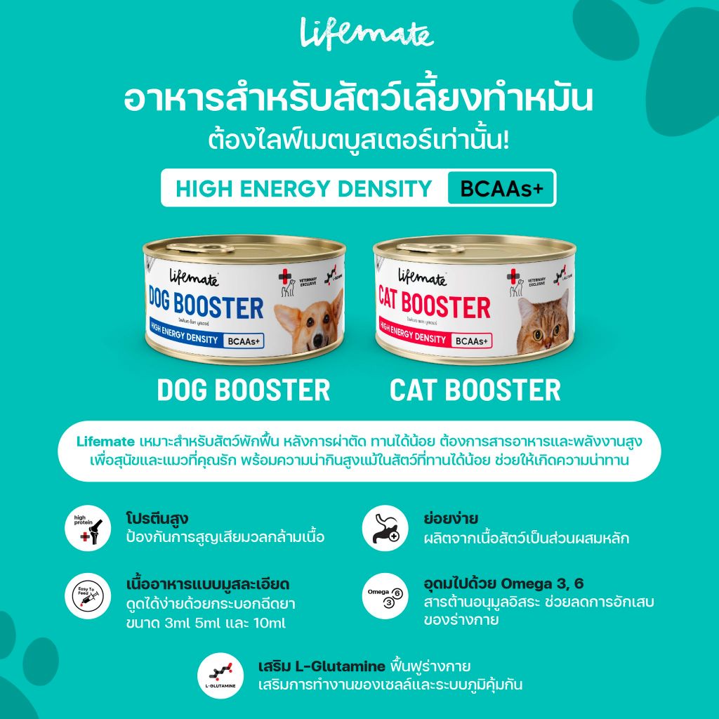 Lifemate Booster Dog&Cat อาหารพักฟื้นโภชนาการครบถ้วน รูปที่ 4