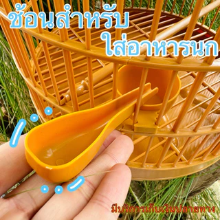ช้อนให้อาหารนก ช้อนใส่อาหารนก แข็งแรง ทนทาน ความยาว 10.6 cm.