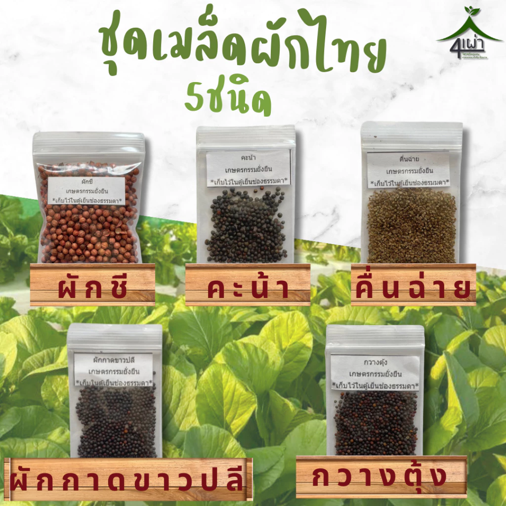 เมล็ดพันธ์ุผักสวนครัว 1 ชุด มี 5 ชนิด (คื่นฉ่าย กวางตุ้ง คะน้า ผักกาดขาวปลี ผักชี) - เกษตรกรรมยั่งยืน