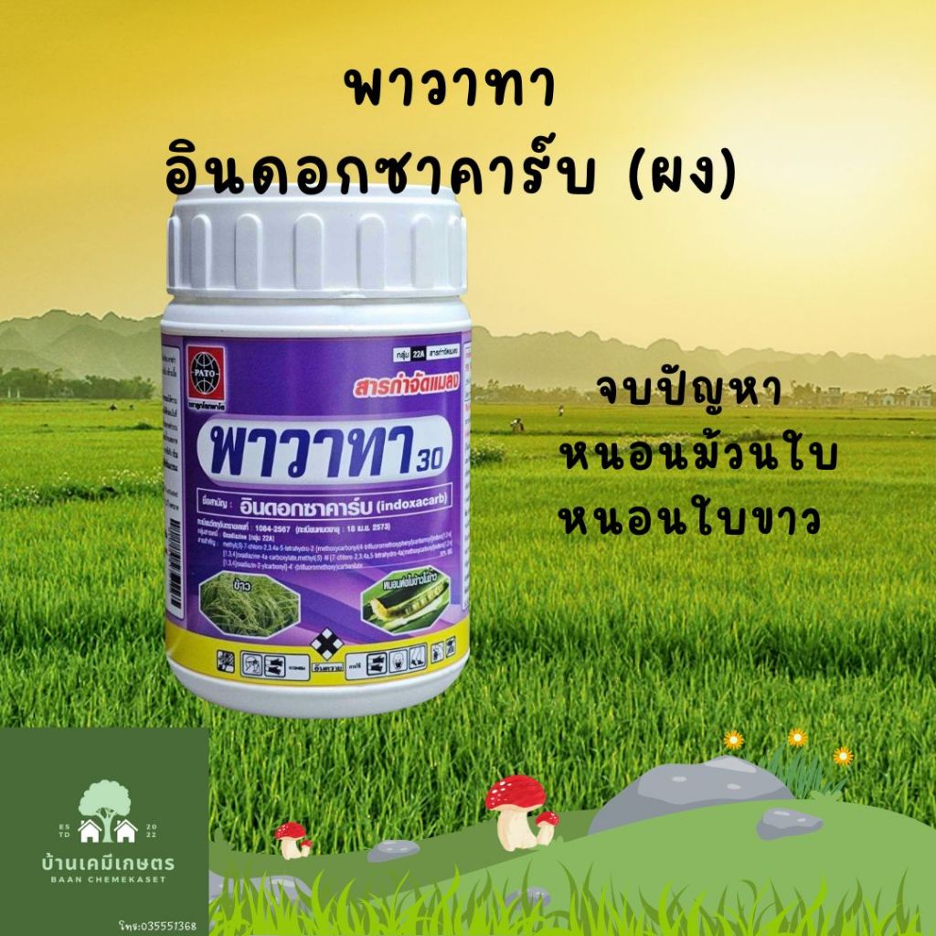 อินดอกซาคาร์บ ผง 30% กำจัด หนอนม้วนใบ หนอนใยผัก หนอนใบขาว หนอนกระทู้ 100 กรัม  พาโต พาวาทา