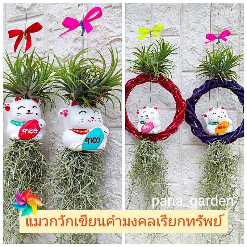 แมวกวักทรัพย์เขียนคำมงคลเรียกทรัพย์ (แบบมีวงและไม่มีวงหวาย)