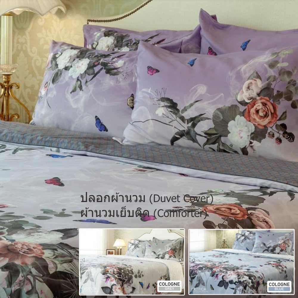 EXOTICA รุ่น Cologne ปลอกผ้านวม/ผ้านวมเย็บติด ขนาด 100”x90” (6/5ฟุต)และ70”x90” (3.5ฟุต)