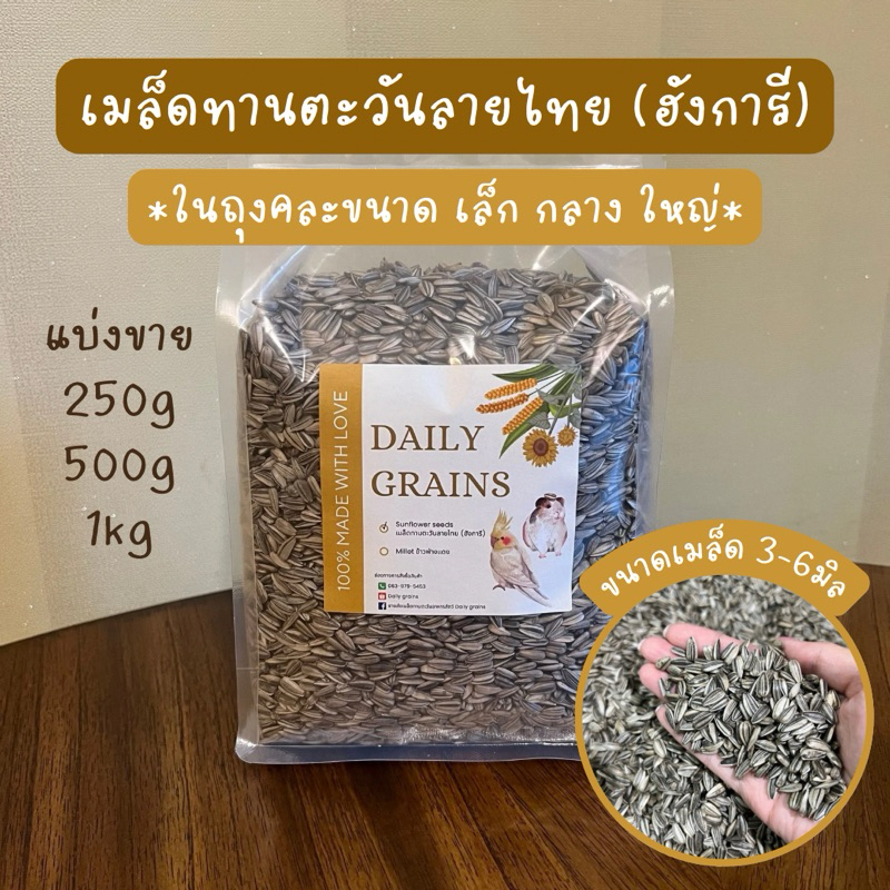 เมล็ดทานตะวันลายไทย(ฮังการี) อาหารนก หนูแฮมสเตอร์ คละขนาด3-6มิล แบ่งขาย250g/500g/1kg สะอาดไร้ฝุ่น ราคาโรงงานขายเอง