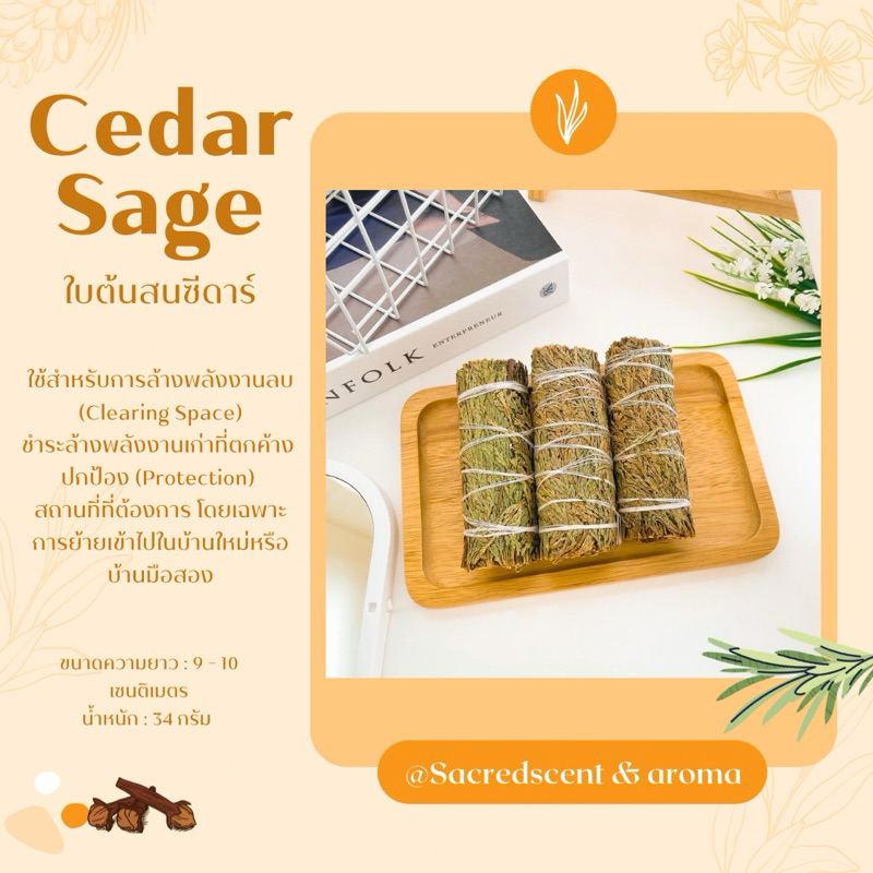 Cedar Smudge ซีดาร์ ใบต้นสนซีดาร์ มัดเล็ก ขนาด 9-10 CM. จุดชำระล้างพลังงานลบ ดึงดูดพลังงานบวก ผ่อนคลาย ใช้ฝึกสมาธิ