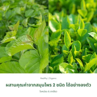 ชาใบหม่อนชาเขียว ตราไร่กฤติยา (Mulberry Green Tea Blended Leaf Tea)