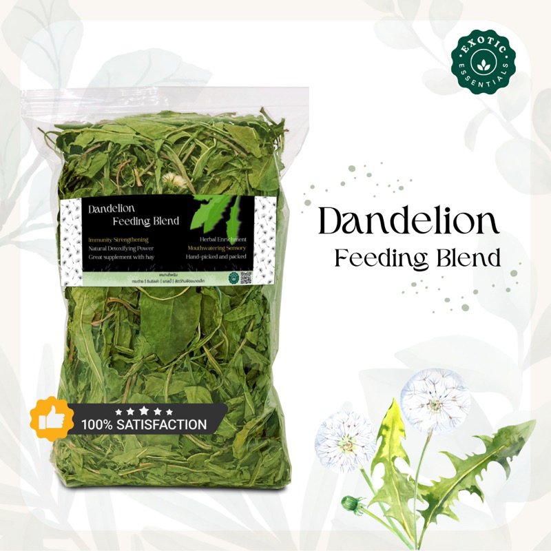 Exotic Essentials 🌿 Dandelion ใบแดนดิไลออน *ใบสวยและใหญ่* สำหรับกระต่าย แกสบี้ ชินชิล่า แพรรีด็อก