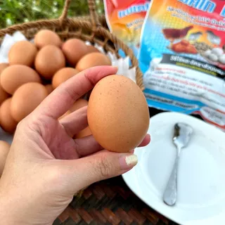 เปลือกหอยบดละเอียด เกรดอาหารสัตว์