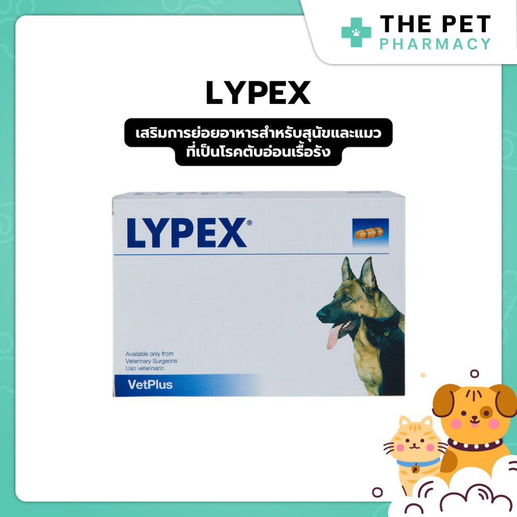 Lypex ไลเป็กซ์ เสริมการย่อยอาหารสำหรับสุนัขและแมวที่เป็นโรคตับอ่อนเรื้อรัง 3 เดือน ขึ้นไป