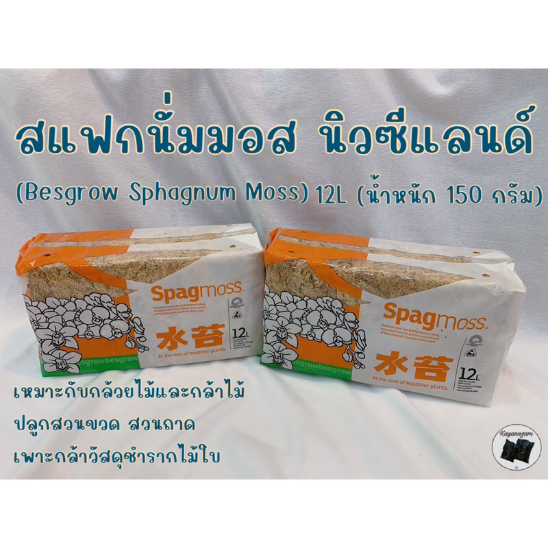 สแฟกนั่มมอส นิวซีแลนด์ 12L (น้ำหนัก 150 กรัม)เหมาะกับกล้วยไม้และกล้าไม้ ปลูกสวนขวด สวนถาด เพาะกล้าวัสดุชำรากไม้ใบ
