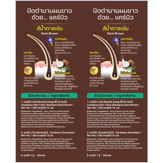 CAREBEAU แคร์บิว แชมพูปิดผมขาว แฮร์คัลเลอร์ สีน้ำตาลเข้ม [1 กล่อง]