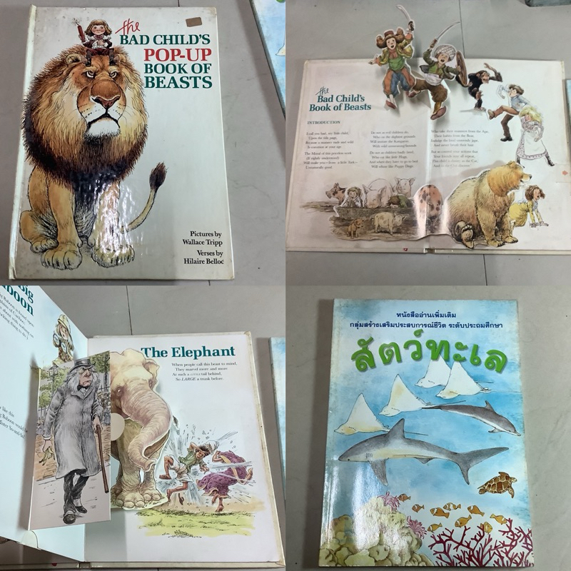หนังสือเด็กมือสอง สัตว์ทะเล-ทรัพยากรสำคัญของเรา,the bad child’s pop-up book of beasts by Wallace Tri