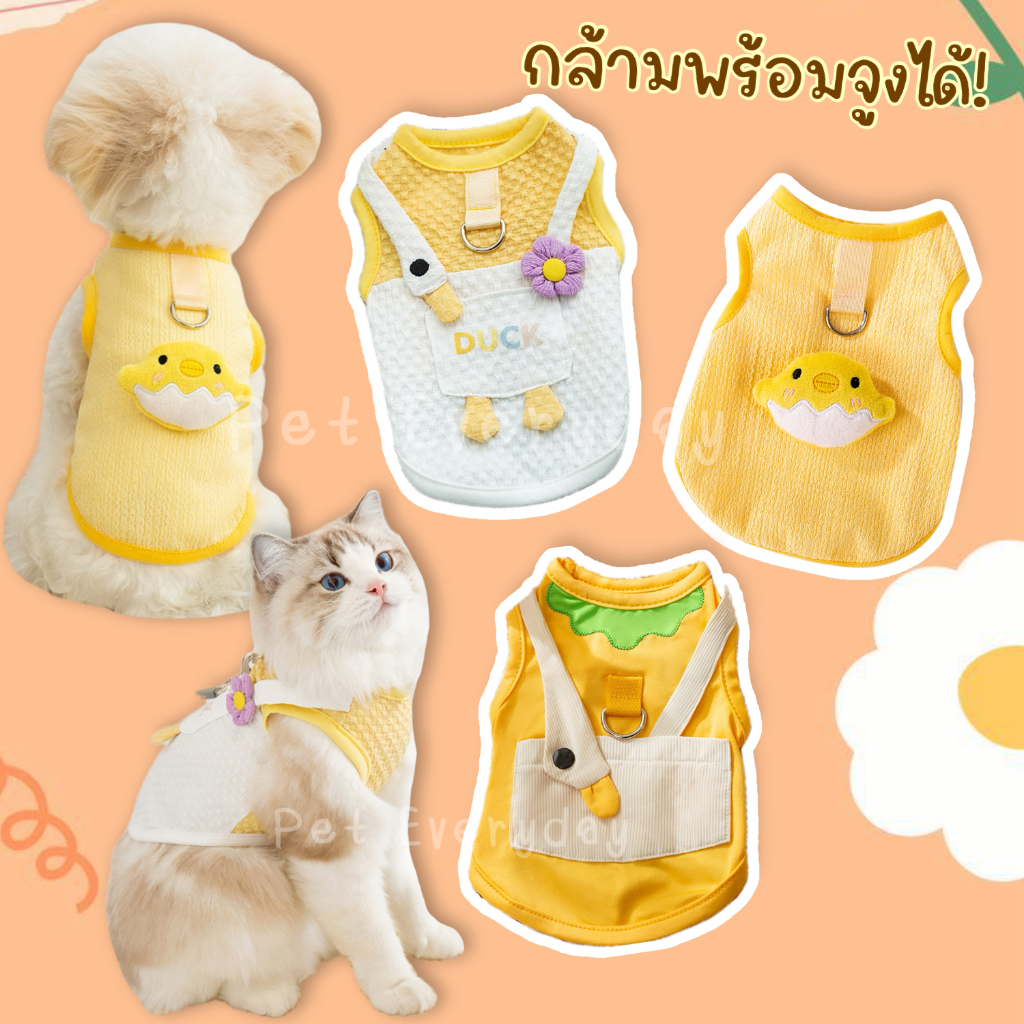 ชุดสัตวเลี้ยง เสื้อน้องหมาแมว เสื้อมีที่คล้องสายจูง สายจูงสัตว์เลี้ยง