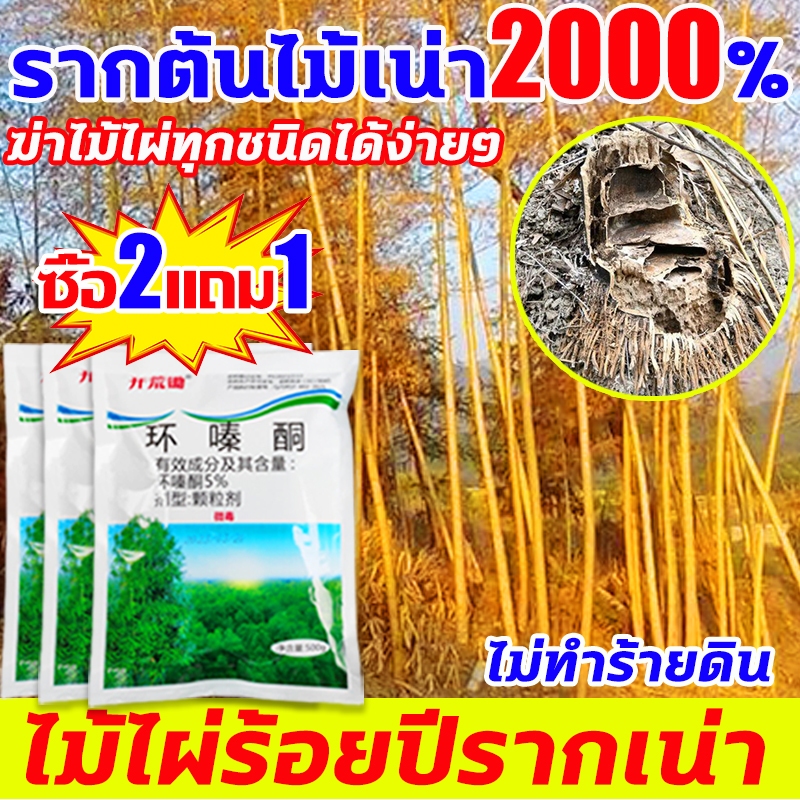 ยาฆ่าต้นไม้ ยาฆ่าไผ่ 500g ไม่ทำลายดิน รวดเร็ว ทนนาน ยาฆ่าตอไม้ ยาฆ่ากอไผ่ ยาฆ่าต้นไผ่ ผงกําจัดไผ่ ต้นไม้ หญ้า ยาฆ่าหญ้า