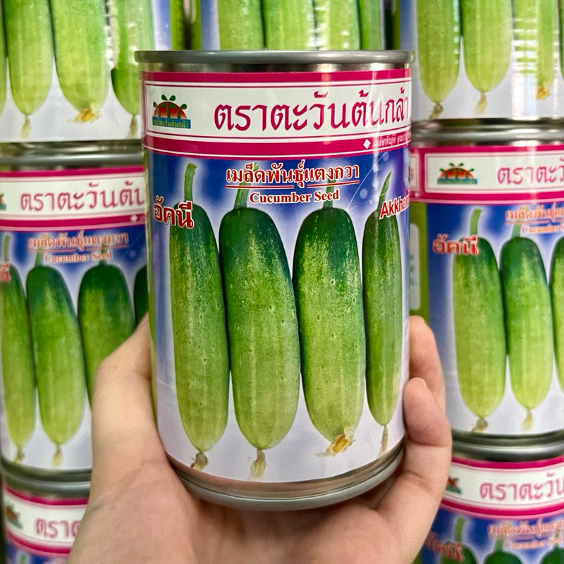 อัคนี แตงกวาลูกผสม ตราตะวันต้นกล้า ขนาด 25 กรัม