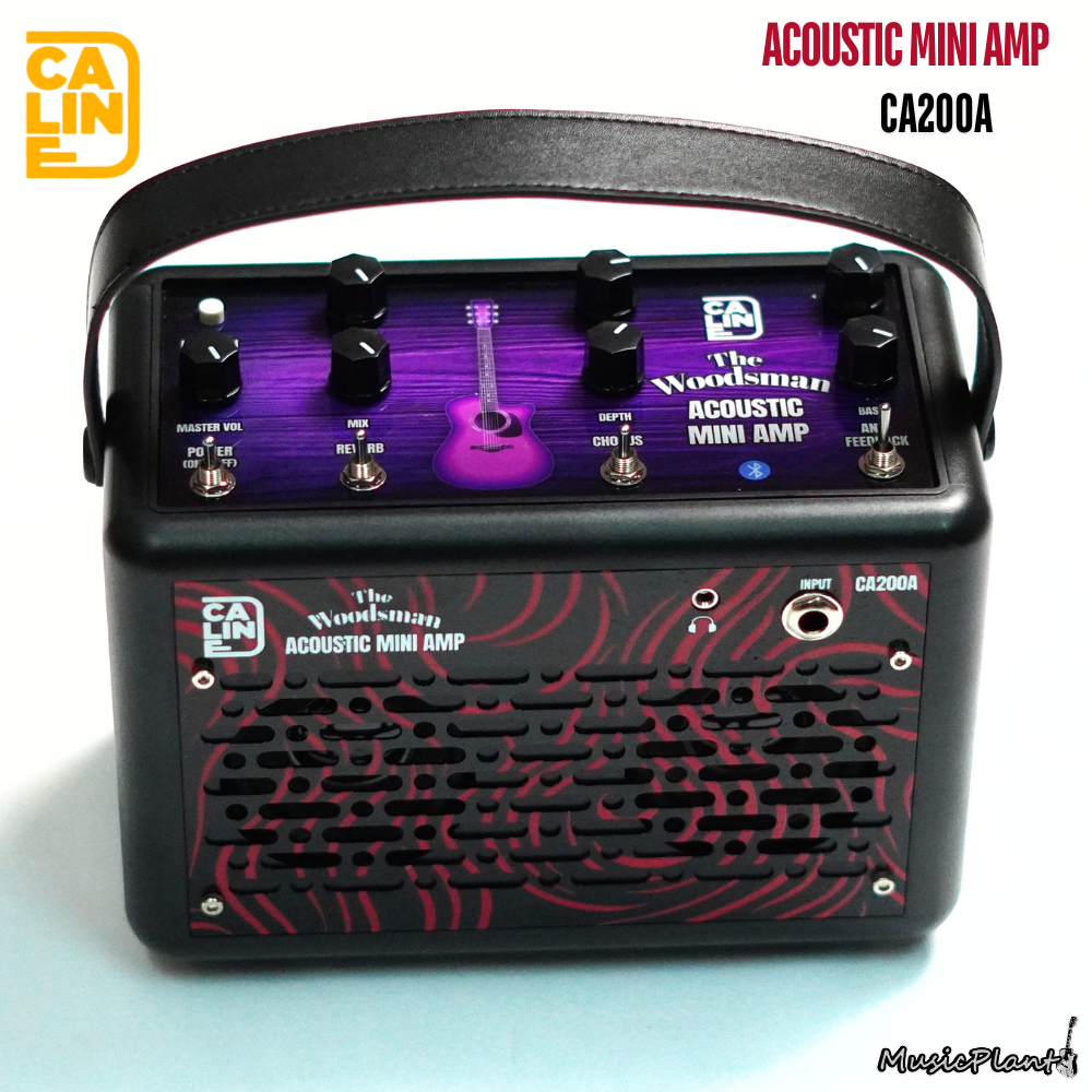 แอมป์กีตาร์โปร่ง Caline - CA200A Woodsman Acoustic Amp.